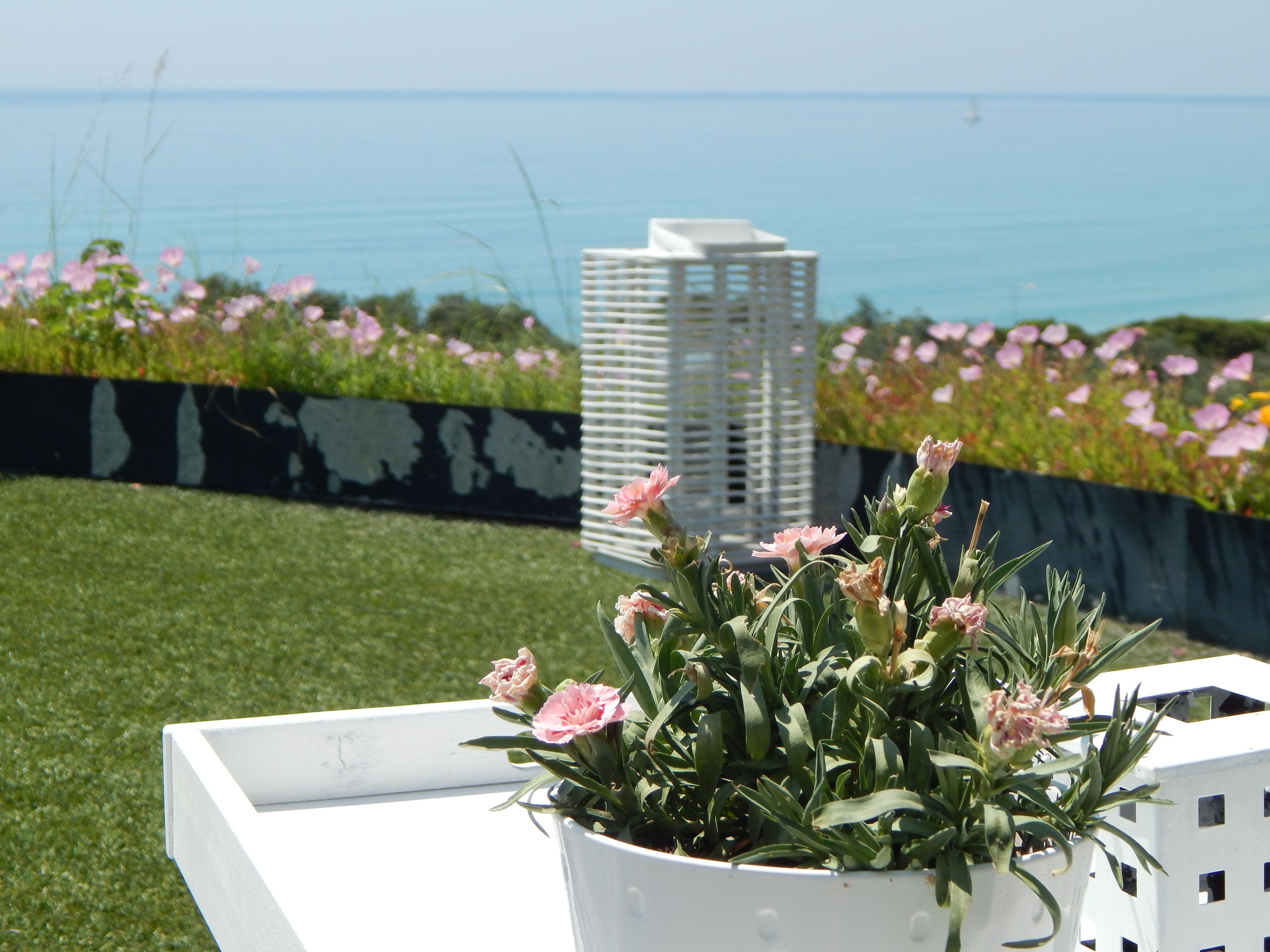 Villa Palmina | Terras
