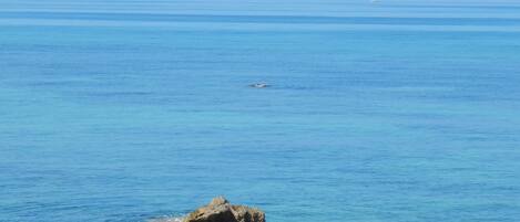 On the beach, white sand, beach umbrellas