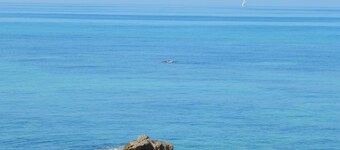 Palmina Mare Villa and Studios