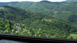 A view of a lush green valley with rolling hills and a winding road. - Gîte de Chapelèche "Les Genêts" (Gluiras)