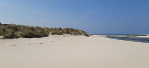 A sandy beach with dunes and a clear sky. - Reder Mor : maison de pêcheurs 250 m de la mer (SANTEC)
