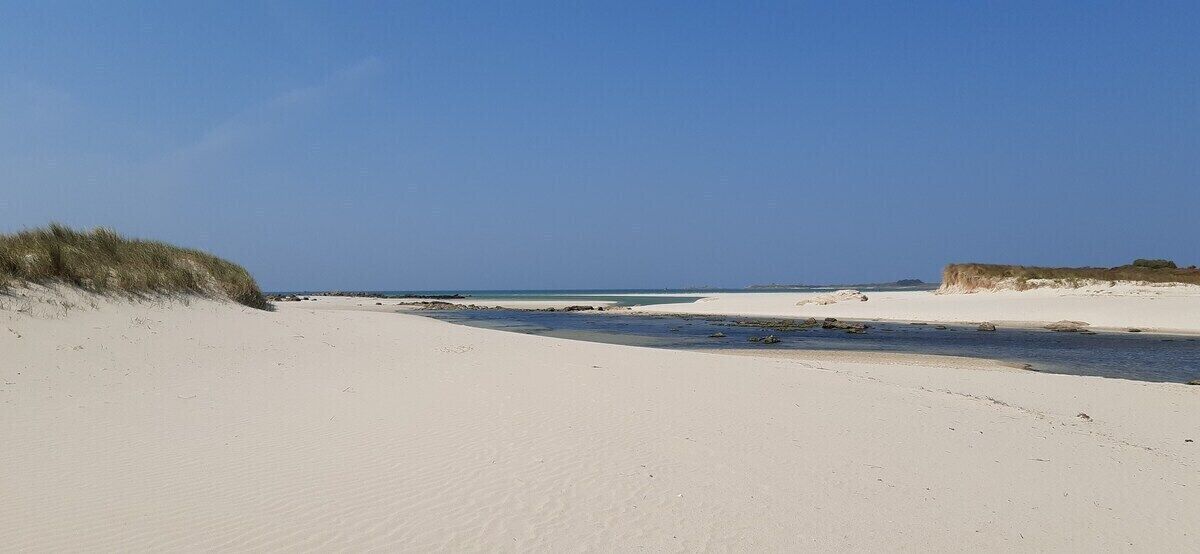 A sandy beach with dunes and a clear sky.