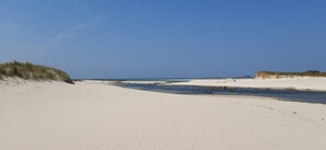 A sandy beach with dunes and a clear sky.