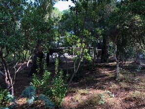 Parco della struttura