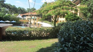 Un área de piscina con sombrillas y un edificio al fondo.