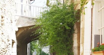 TrÚs bel appartement duplex, terrasse et vue panoramique dans village médiéval