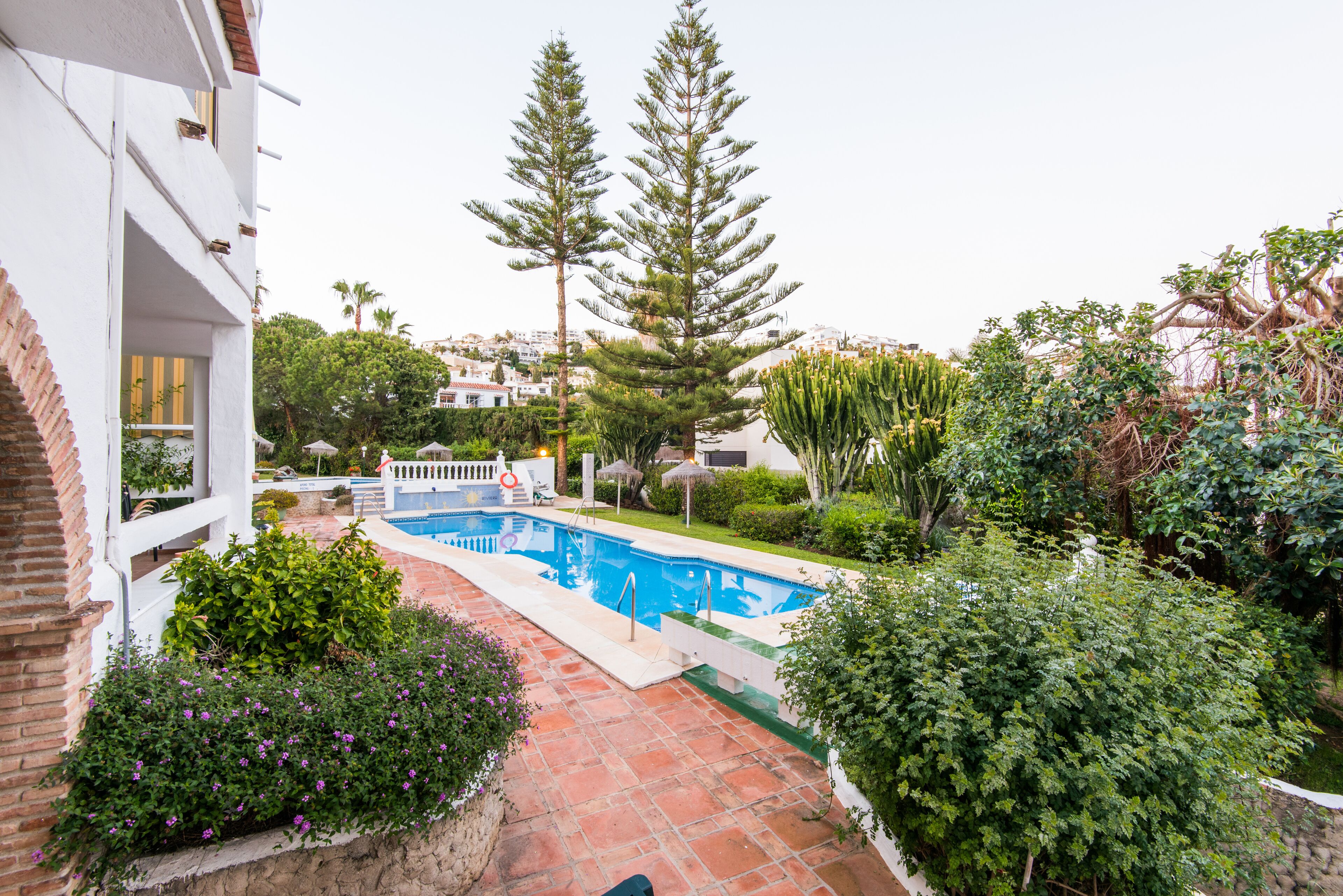 Une piscine entourée d’une végétation luxuriante, un bâtiment blanc doté d’un balcon et de grands arbres.