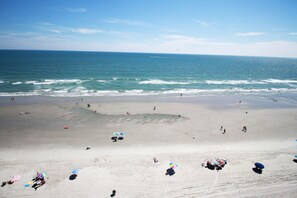 En la playa y camastros 