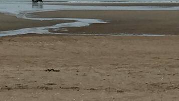 Accommodatie ligt op het strand