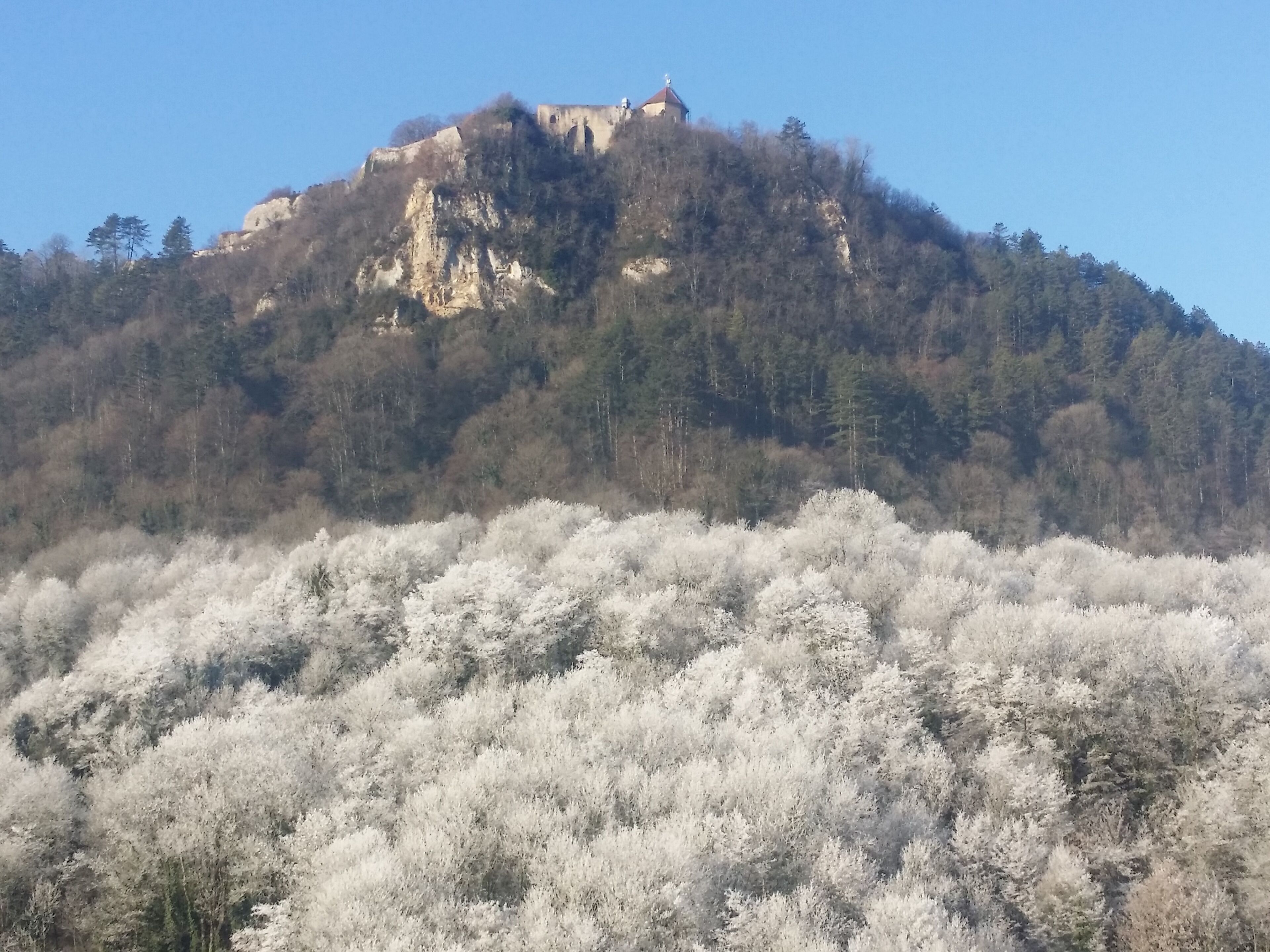 A mountain with a historical building on top, surrounded by dense forest.