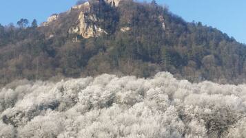 A mountain with a historical building on top, surrounded by dense forest.