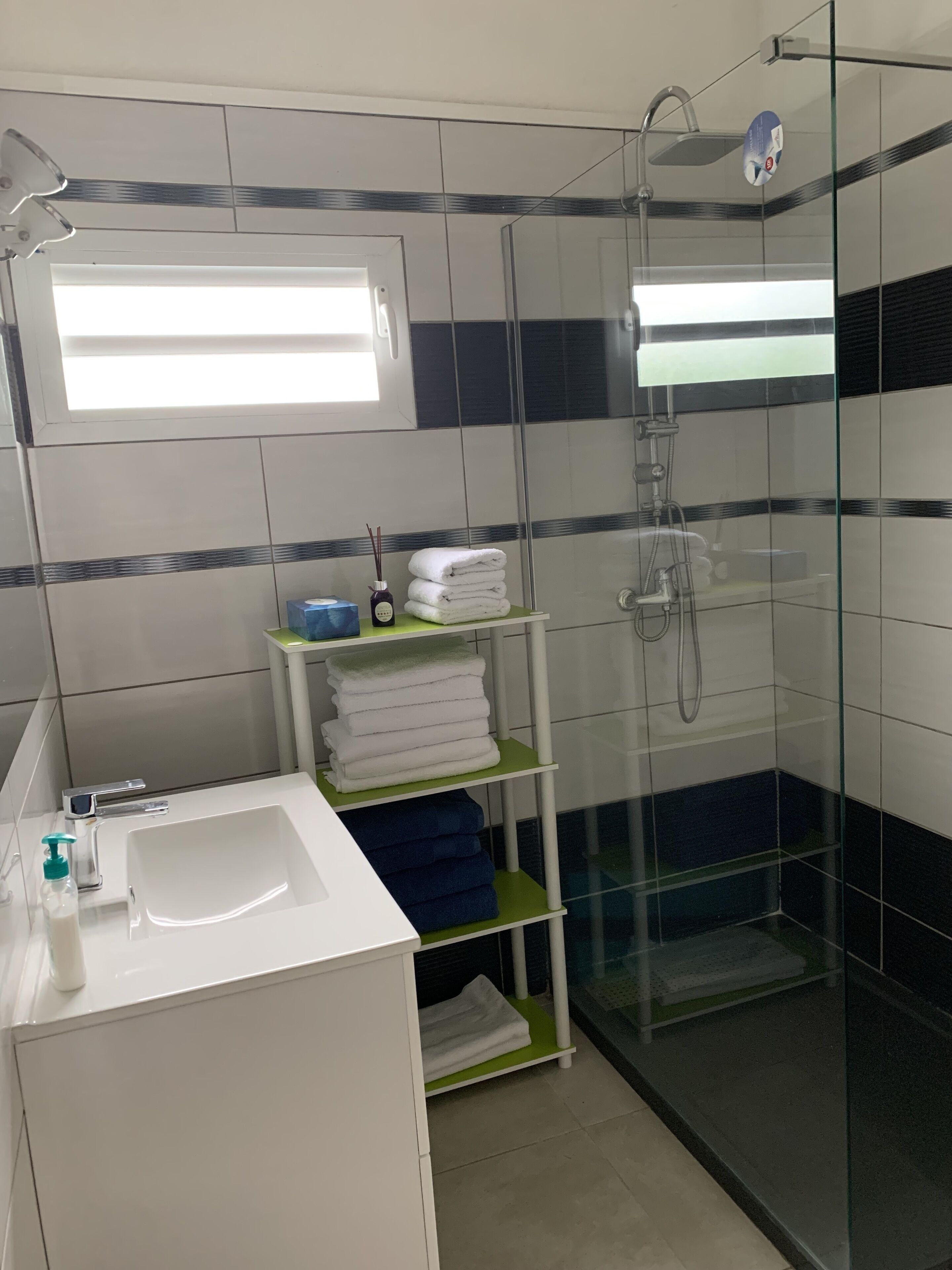 Hair dryer, towels, toilet paper