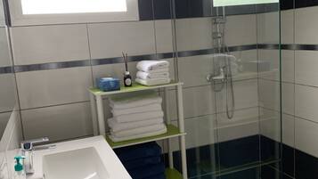 Hair dryer, towels, toilet paper
