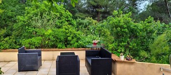 広大な松林に囲まれたプロバンスのヴィラ