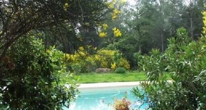 Provenzalische Villa in der Ruhe eines großen Pinienwaldes