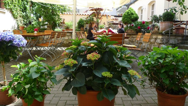 Een terras met tafels en stoelen, omringd door plantenpotten en parasols.