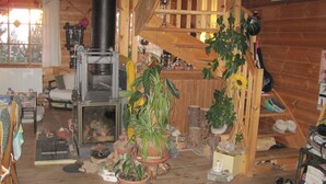 L’intérieur d’un chalet chaleureux, avec une cheminée, des murs en bois et diverses plantes en pot.