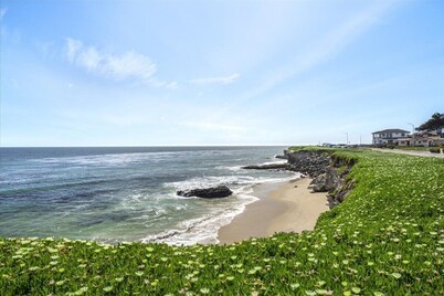 Fall  Available Ocean Front, Family house Santa Cruz on West Cliff