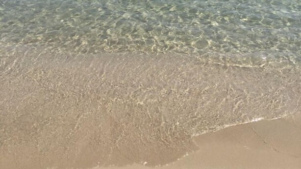 A beach with clear shallow water and a sandy shore. - LUXURY VILLA 4 BEDROOMS NEAR TO TORRE GUACETO BEACHES, CAROVIGNO,  OSTUNI (Serranova)