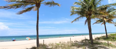 Chaises longues, serviettes de plage