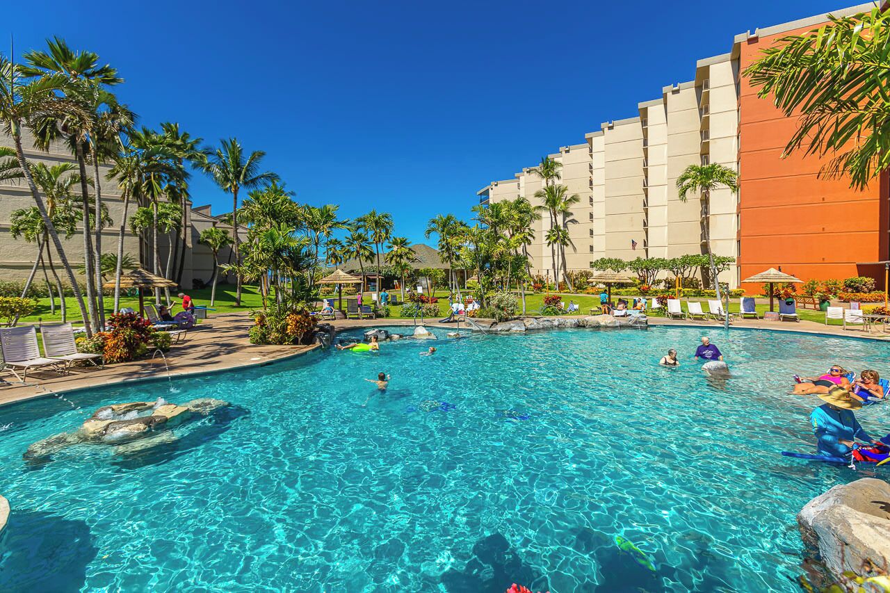 A swimming pool with clear water, surrounded by palm trees and lounge chairs.