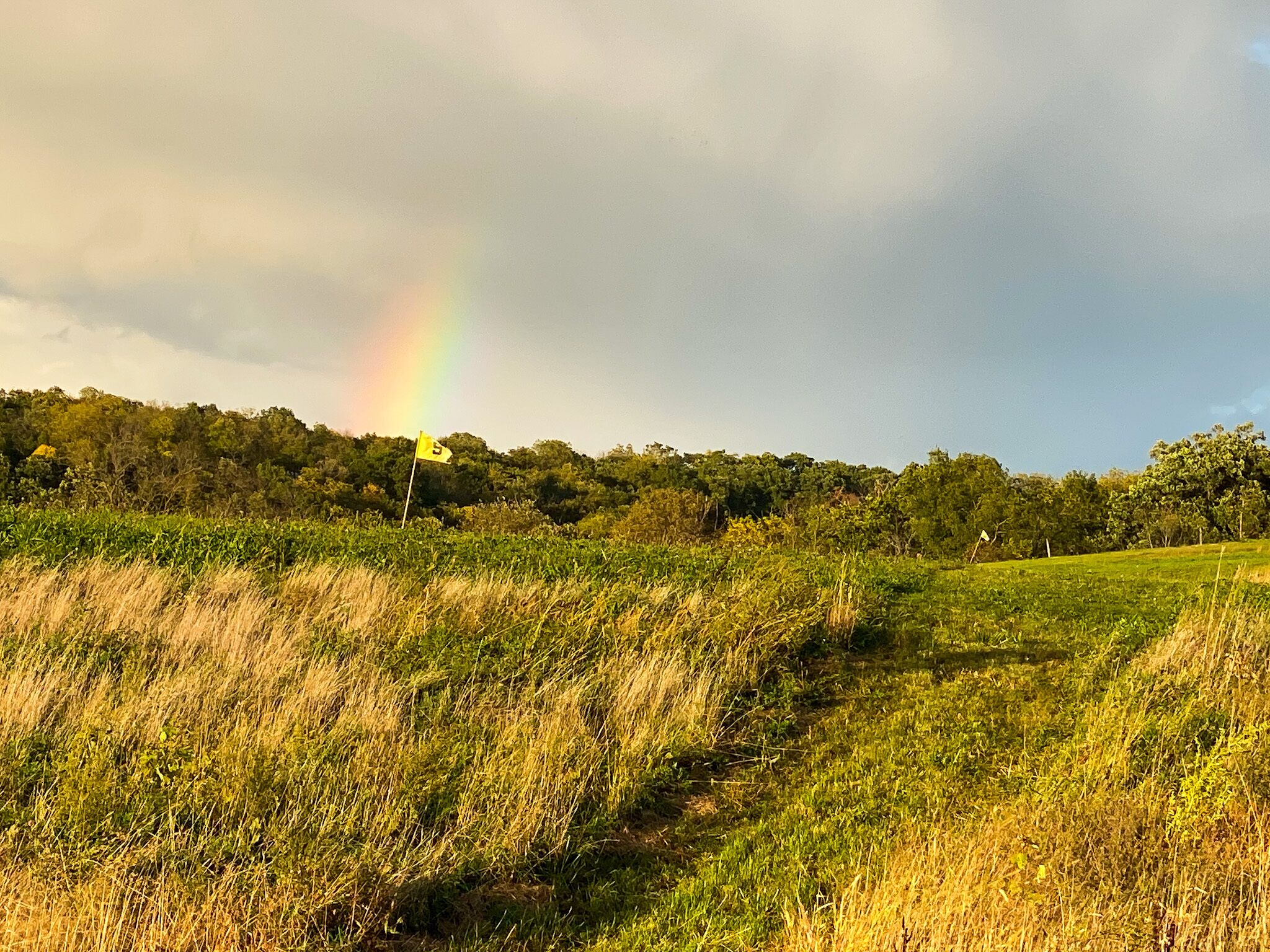 A grassy field with a yellow flag and a rainbow in the background.
