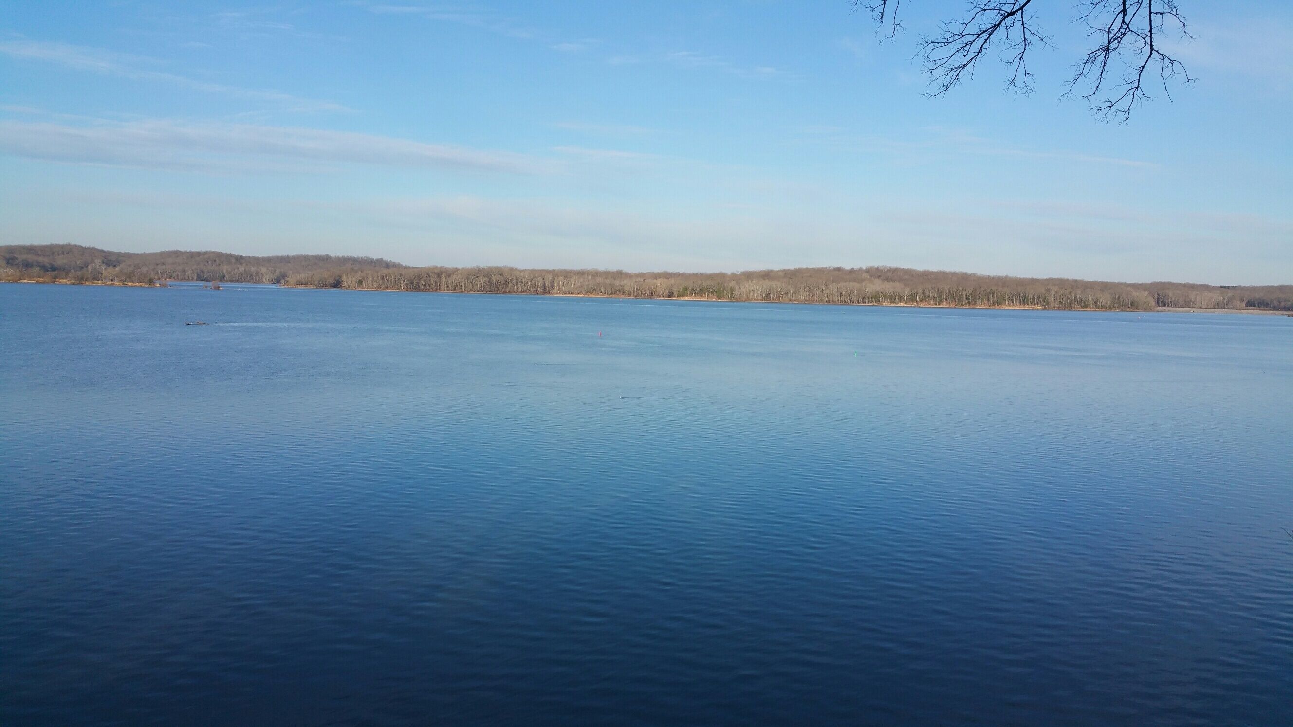 A large body of water with a distant shoreline and leafless trees.