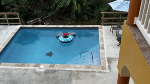 Ein Schwimmbecken mit einer Schildkröte, umgeben von Pflanzen und einer Holzterrasse.