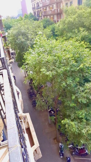 Property grounds - 3BR/2BA STUNNING BALCONIED ART NOUVEAU APT, NEXT DOOR TO METRO, CITYWIDE ACCESS (Barcelona)