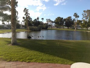 Terrain de l’hébergement 