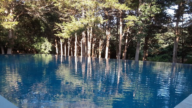 Una piscina rectangular d'aigua transparent i blava, envoltada d'alzines altes.