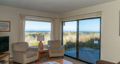 Beach Condo Shorebirds 71