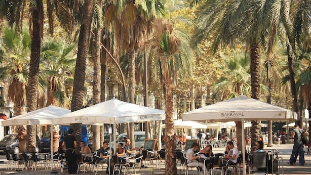 Outdoor seating with umbrellas, palm trees, and a café named BARRAVAL.