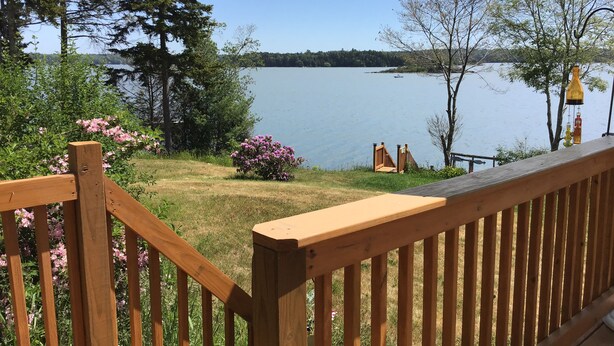 Um deck de madeira com vista para um lago, cercado por árvores e arbustos.
