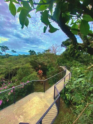 Natural Wonders House: Where nature awaits you!