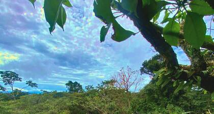 Natural Wonders House: Where nature awaits you!