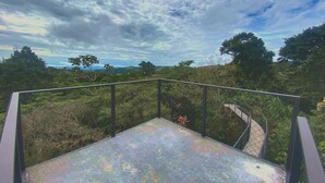 Un escalier en métal, doté d’une rampe également en métal, est entouré d’une végétation luxuriante et d’arbres, et mène à un point plus élevé.
