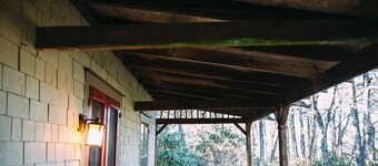 Høj Hemlock. I byen. Gå overalt. Ildsted. Hegn. Kæledyr