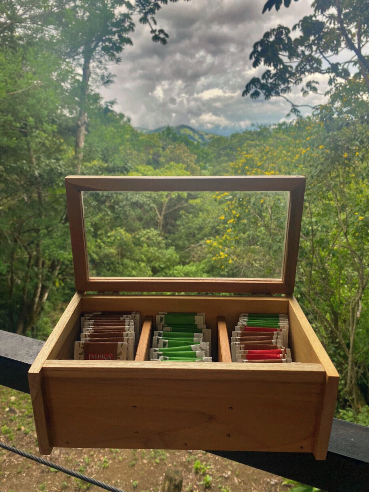 Una caja de madera con tapa transparente que contiene lápices de colores, sobre un fondo de un bosque verde exuberante.