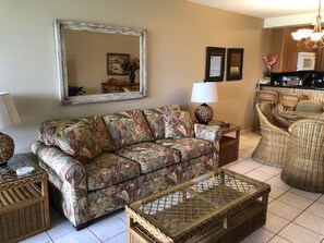 Smart TV, DVD player, books