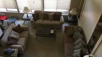 Smart TV, fireplace, DVD player, books