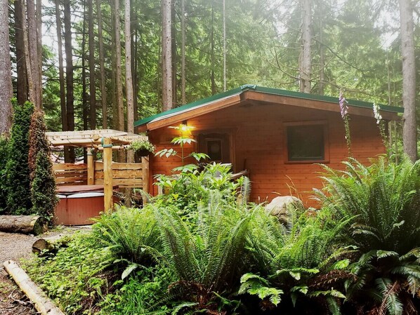 A cabin with a green roof, surrounded by dense forest and ferns.