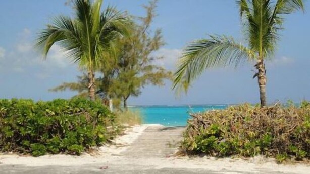 Un camino que lleva a una playa con palmeras y agua azul cristalina.