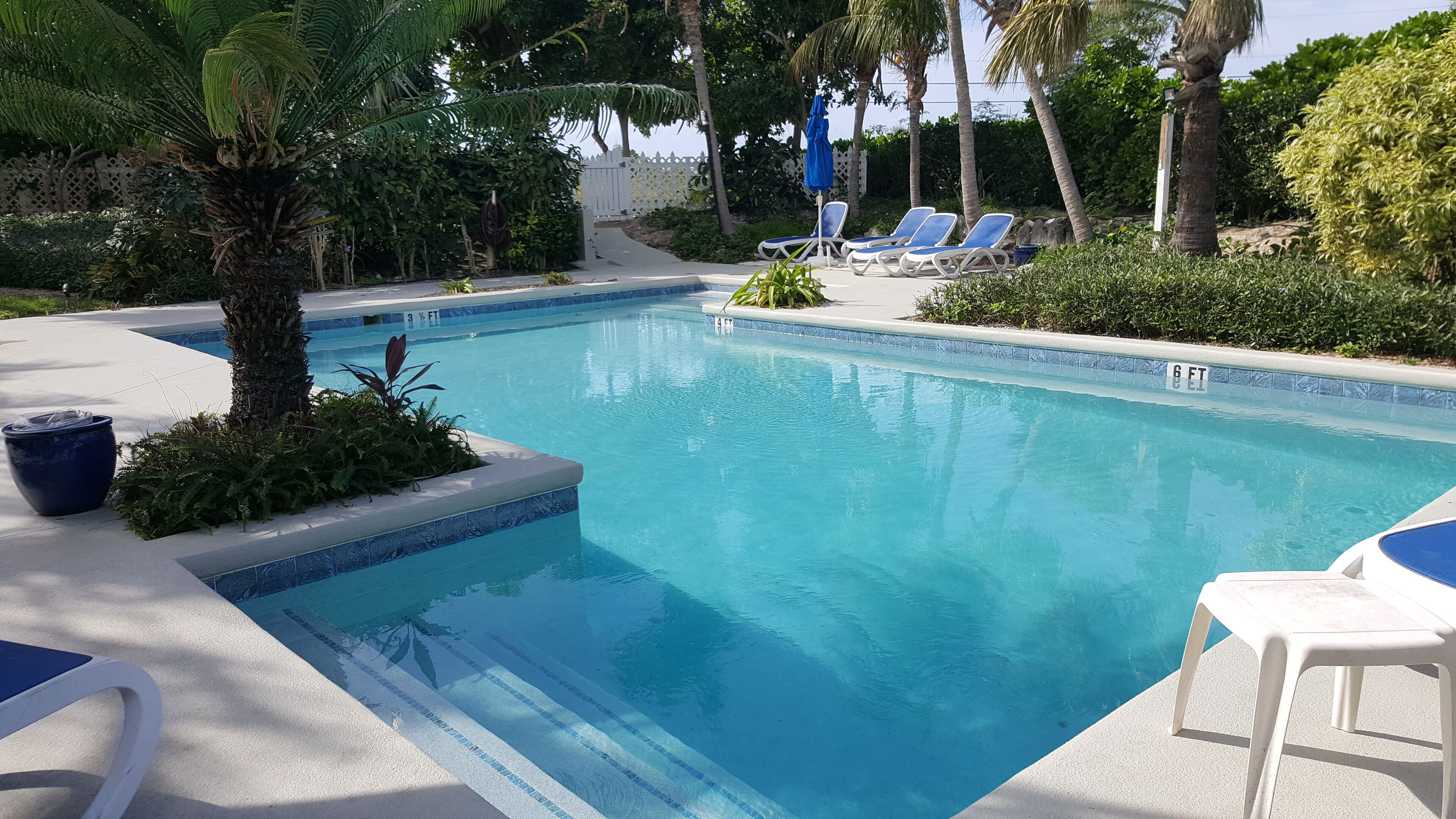 Una piscina con agua azul cristalina, rodeada de palmeras y sillas de descanso.