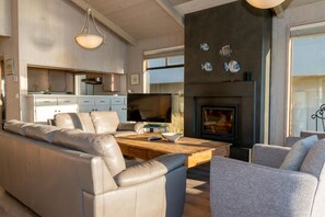 Télévision, cheminée, chaîne hi-fi