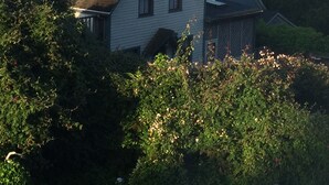 Una casa de dos pisos con techo inclinado, ventanas dormer y una chimenea.