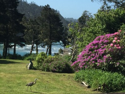 Ocean Views Mendocino Beach House Path directly to the Beach!
