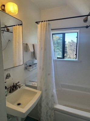 Combined shower/bathtub, hair dryer, towels, soap - Ocean Views Mendocino Beach House Path directly to the Beach! (Mendocino)