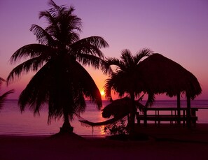 Beach - Luxury Waterfront Condo w/ Pool, Dock, and Gardens (West End)