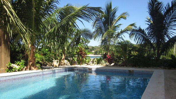 A rectangular swimming pool with clear blue water, surrounded by palm trees and tropical plants. - Luxury Waterfront Condo w/ Pool,  Dock, and Gardens  (West End)